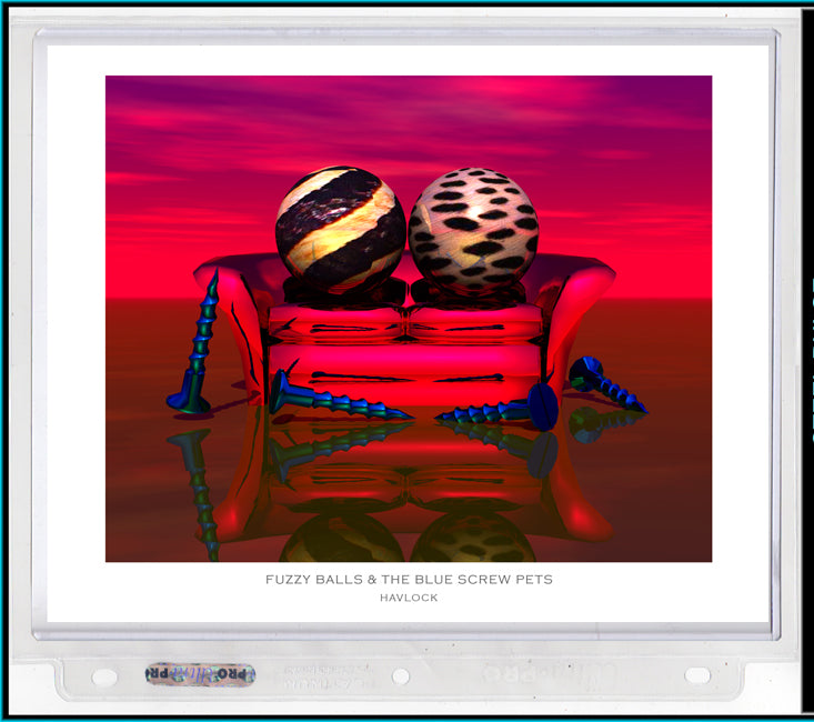 Fuzzy Balls & The Blue Screw Pets ~ Liquid Geometry - 8x10 Print in Collector's Sleeve