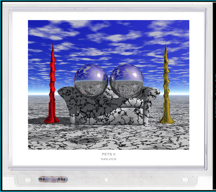 Pets II ~ Liquid Geometry - 8x10 Print in Collector's Sleeve