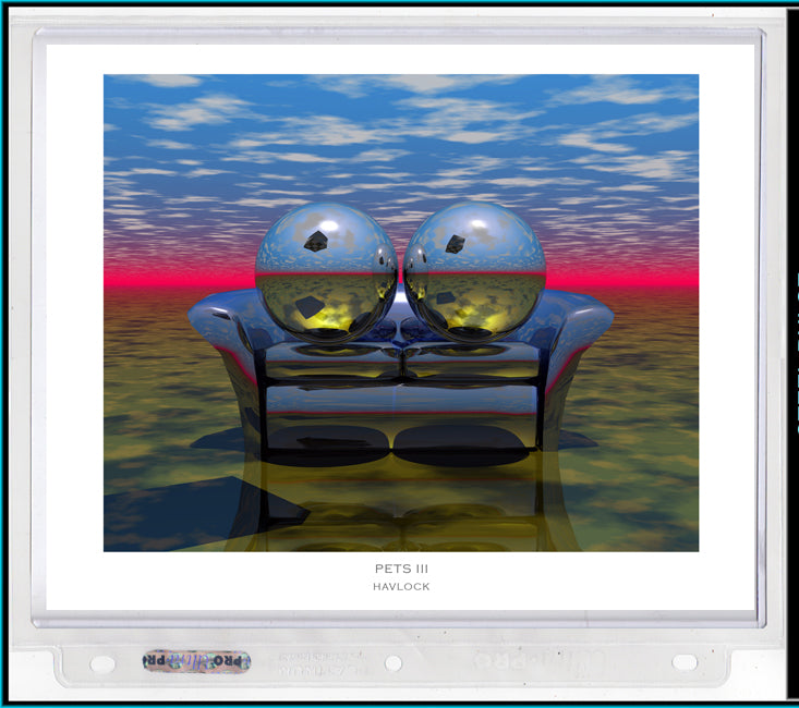 Pets III ~ Liquid Geometry - 8x10 Print in Collector's Sleeve