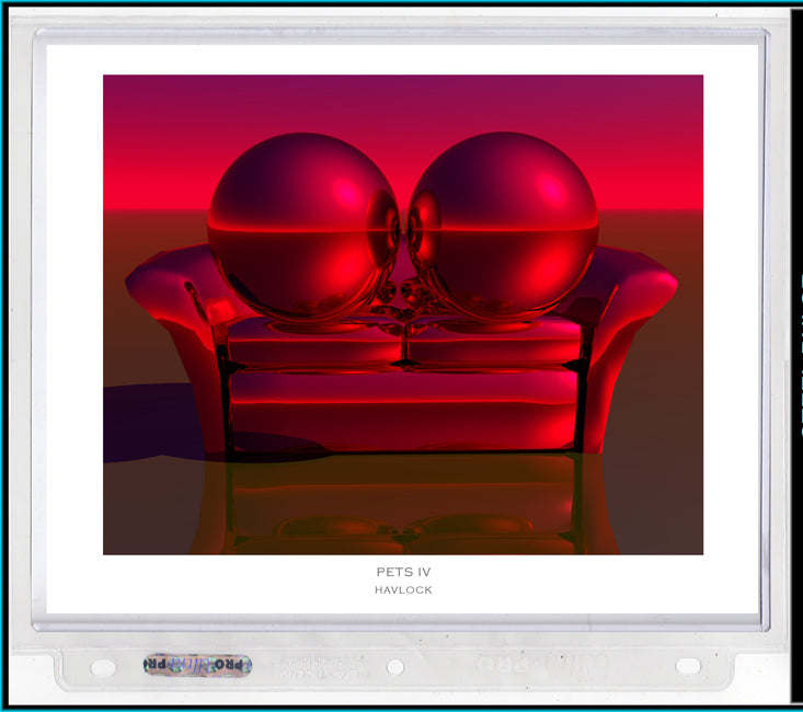 Pets IV ~ Liquid Geometry - 8x10 Print in Collector's Sleeve