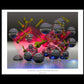 Flaming Liquid Friction Factor ~ Liquid Geometry - 8x10 Print in Collector's Sleeve