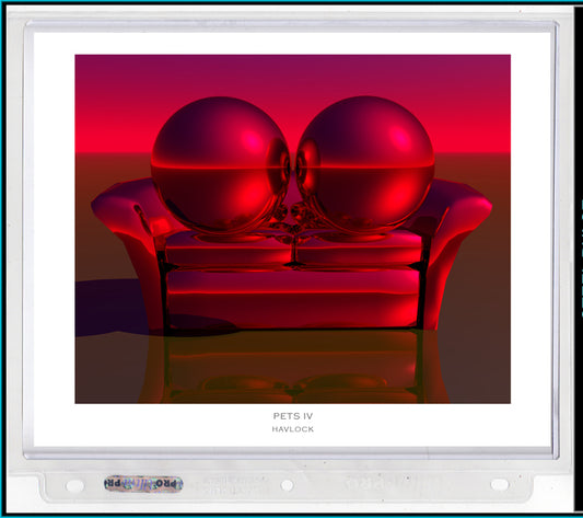 Pets IV ~ Liquid Geometry - 8x10 Print in Collector's Sleeve