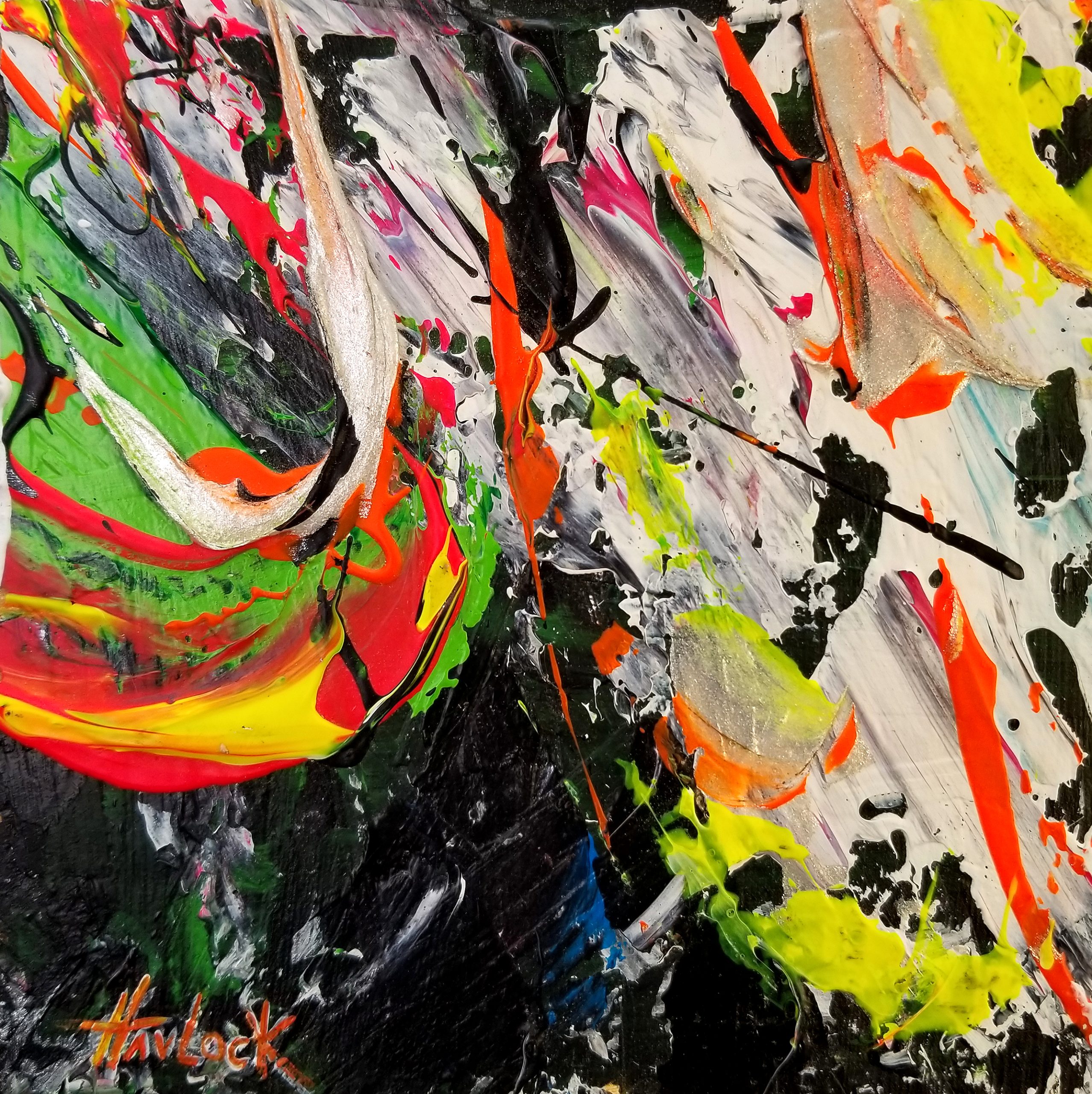 Growth in Rupture - Pocket Storms Diptych Set - Havlock Collaboration - Image 3