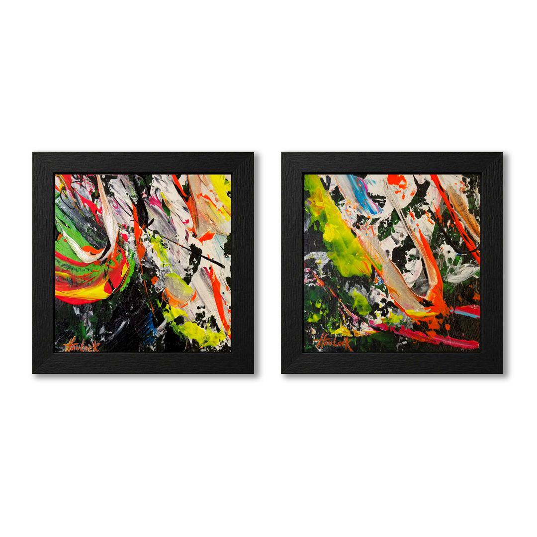 Growth in Rupture - Pocket Storms Diptych Set - Havlock Collaboration