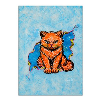 Feline Fixation - 5x7 Cats in a Crack Print, Unframed